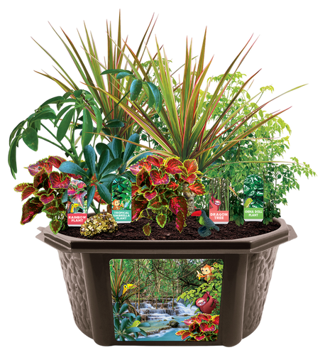 Toys By Nature Tropical Rainforest Jungle Biosphere Terrarium