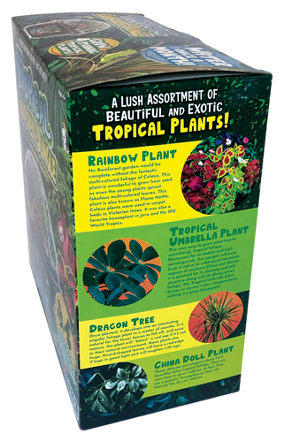 Toys By Nature Tropical Rainforest Jungle Biosphere Terrarium