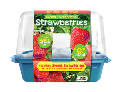 Unique Gardener Sweet Everbearing Strawberries Sprouter Terrarium