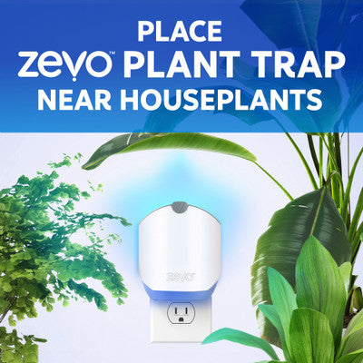 Zevo Plant Flying Insect Trap (1 Plug In Device & 2 Refill Cartridges)