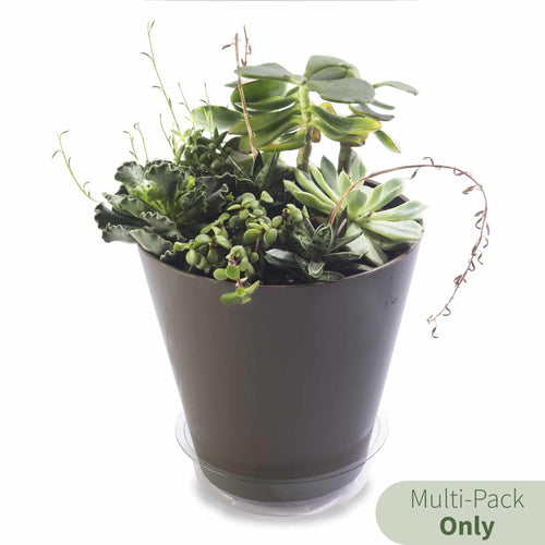 Crescent Garden Clear Plant Saucers