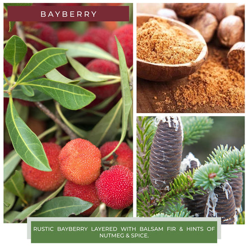 A Cheerful Giver 22 oz Bayberry Candle