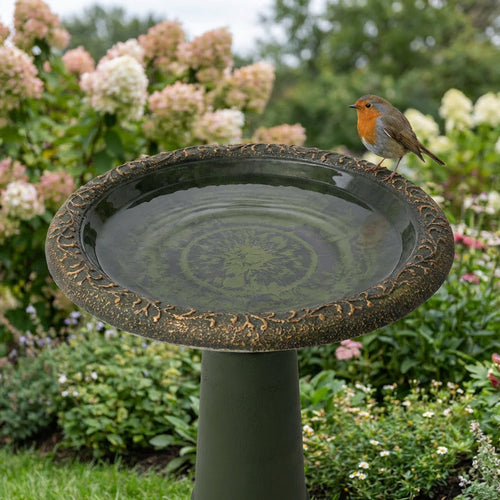 ALGREEN  20 Accerra Green Birdbath