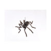 Fun World 30 Hairy Spider