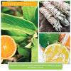 A Cheerful Giver Sage & Citrus Fragrance Melts