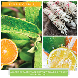 A Cheerful Giver Sage & Citrus Fragrance Melts