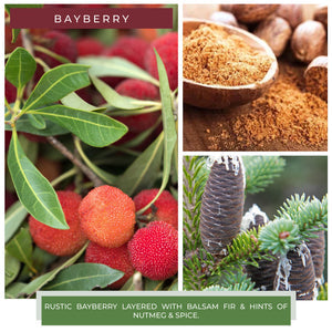 A Cheerful Giver Bayberry Candle 6 oz