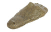 Athens Stone Casting Gator Head