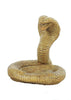 Athens Stone Casting Coiled Cobra