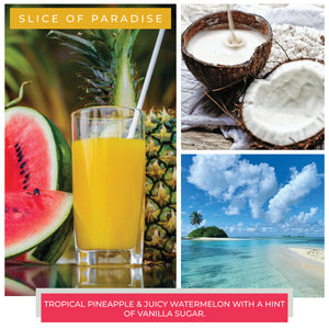 A Cheerful Giver Slice of Paradise Cheerful Candle 6 oz