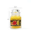 A Cheerful Giver Slice of Paradise Cheerful Candle 6 oz