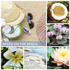 A Cheerful Giver Baked on the Beach Baby Candle 6 oz