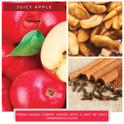 A Cheerful Giver Juicy Apple - Fragrance Melts