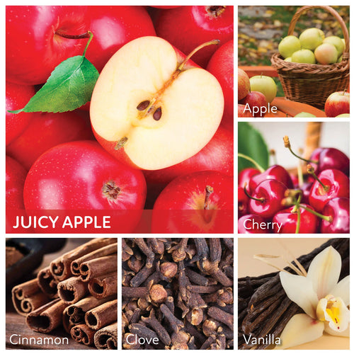 A Cheerful Giver Juicy Apple - 22 oz Mama Candle