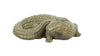 Athens Stone Casting Baby Gator