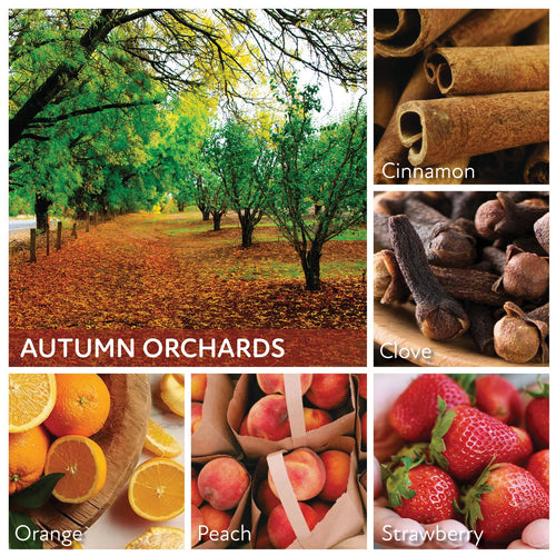 A Cheerful Giver Autumn Orchards - 34 oz Papa Candle