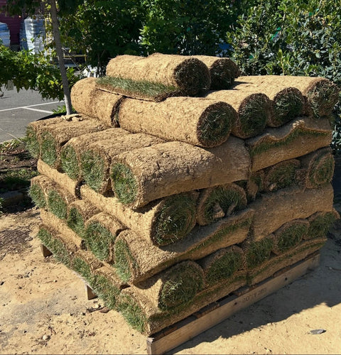 10 SQ FT PCS OF SOD