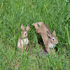 Esschert Design Polyresin Sitting Hare Statue Garden Decor