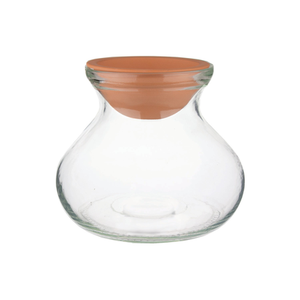 Syndicate Sales 6 Rosie Posie Bulb Planter