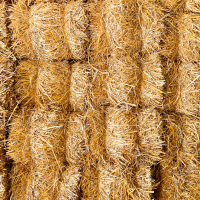 1/2 BALE OF STRAW