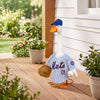 Evergreen New York Mets Sports Porch Goose Uniform