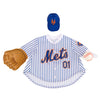 Evergreen New York Mets Sports Porch Goose Uniform