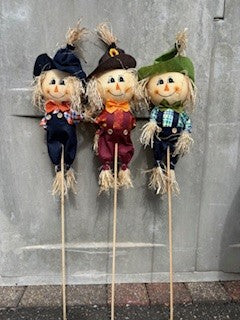 Land & Sea 34 Boy Scarecrow Asst