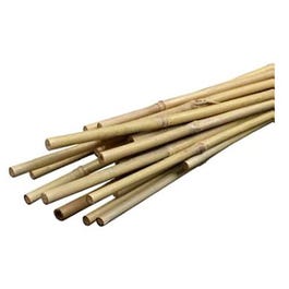 Bamboo Plant Stakes, 3-Ft., 12-Pk.