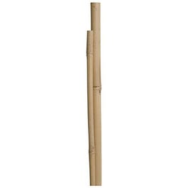 Bamboo Pole Plant Stakes, 5-Ft., 4-Pk.