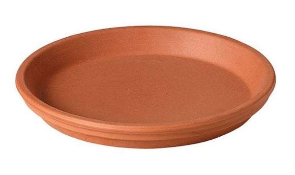 Deroma® Terracotta Traditional Plant Saucer (6 Dia.x1 H in., M8210PZ)